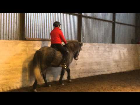 Naggur från Viby -2011