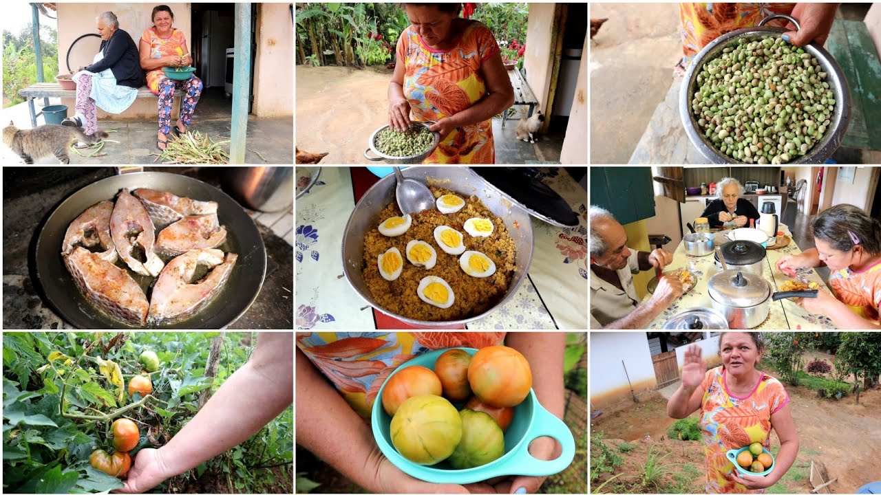 COM FEIJÃO VERDE E FIDALGO 😋 PREPAREI TROPEIRO, FIDALGO AO MOLHO E FRITO + COLHEITA DE TOMATE S/V 🥰