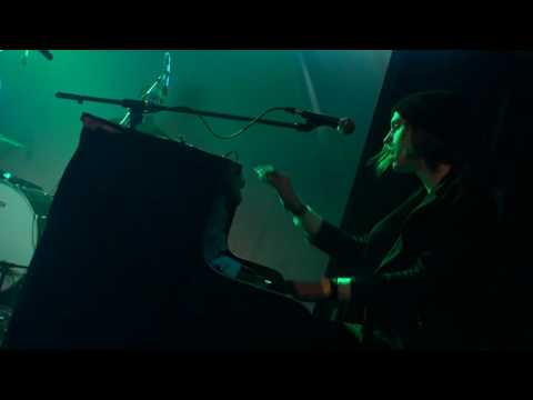 Sunflower Caravan - Change Your Designer