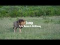Jump - Tyla - Gunna & Skillibeng (clean + lyrics)