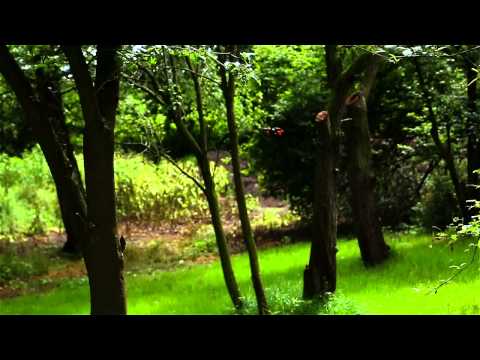 ACME zoopa Q 165 Actionvideo (deutsch)