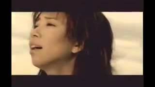 Fly Away : Corrine May