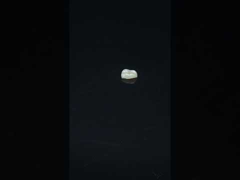 YouTube 썸네일