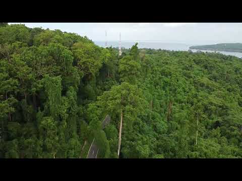 Taman Wisata Alam Gunung Meja, Manokwari-Papua Barat