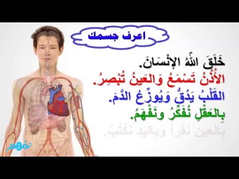 اعرف جسمك - اللغة العربية  - الصف الثاني الابتدائي - الترم الثاني - المنهج المصري -  نفهم