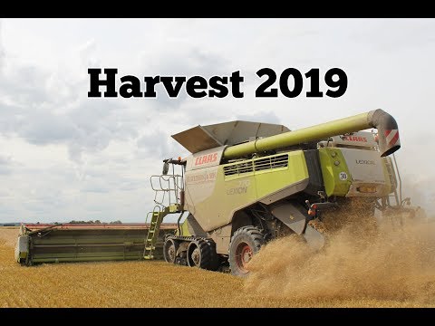 Grange Farms - Harvest 2019 with 2 Claas Lexion 770 combines