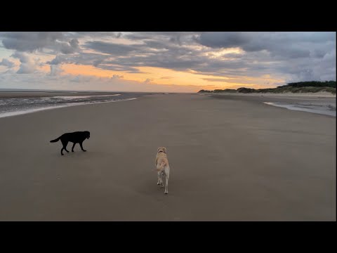 Olive and Mabel - Their Master's Voice