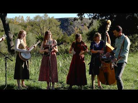 Wildflowers  - The Petersens (LIVE)