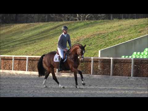 Chadwick v. Cascadello I - Cassini II