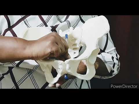 Diameter of Female Pelvis