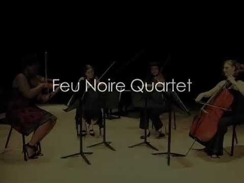Promotional video thumbnail 4 for Jennifer Moersch, Cellist and Ensembles