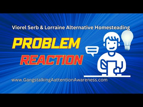 Viorel Serb & Lorraine - Problem | Reaction (Part 2)
