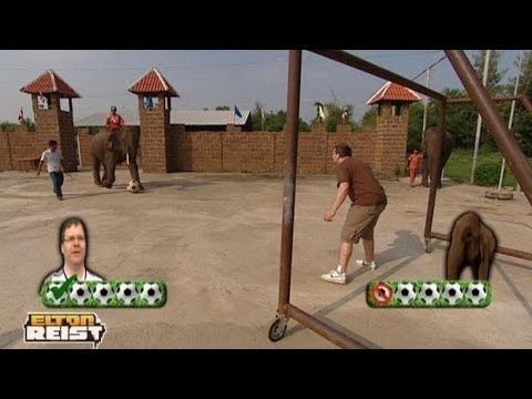 Gewinne ein Elfmeterschießen gegen einen Elefanten - Elton reist