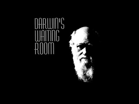 Darwin's Waiting Room - Darwin's Waiting Room (1996) (Full Album)