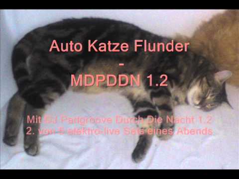 Auto Katze Flunder - MDPDDN 1.2 - das 2. von 5 live electro Sets eines Abends