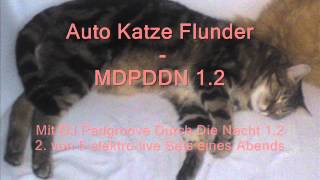 Auto Katze Flunder - MDPDDN 1.2 - das 2. von 5 live electro Sets eines Abends