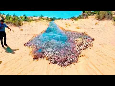 50 Moments in Nature That Happen Once in a Billion