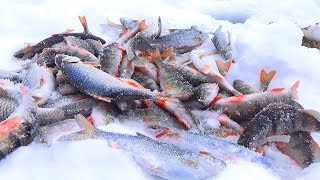 Самый лучший мормышки для окуня