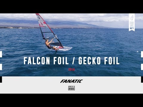 Fanatic Falcon Foil/Gecko Foil 2019