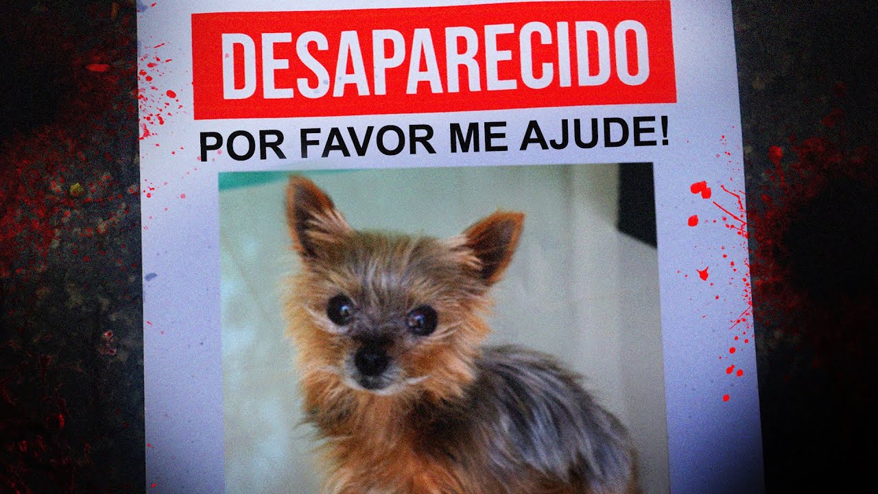 O Caso Mais Bizarro do Youtube