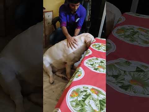 Diana ❤💯💯 with my frnd Subhendu