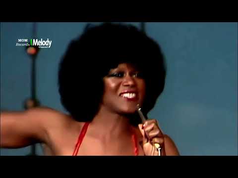 Night of Chicago • Cherry Laine