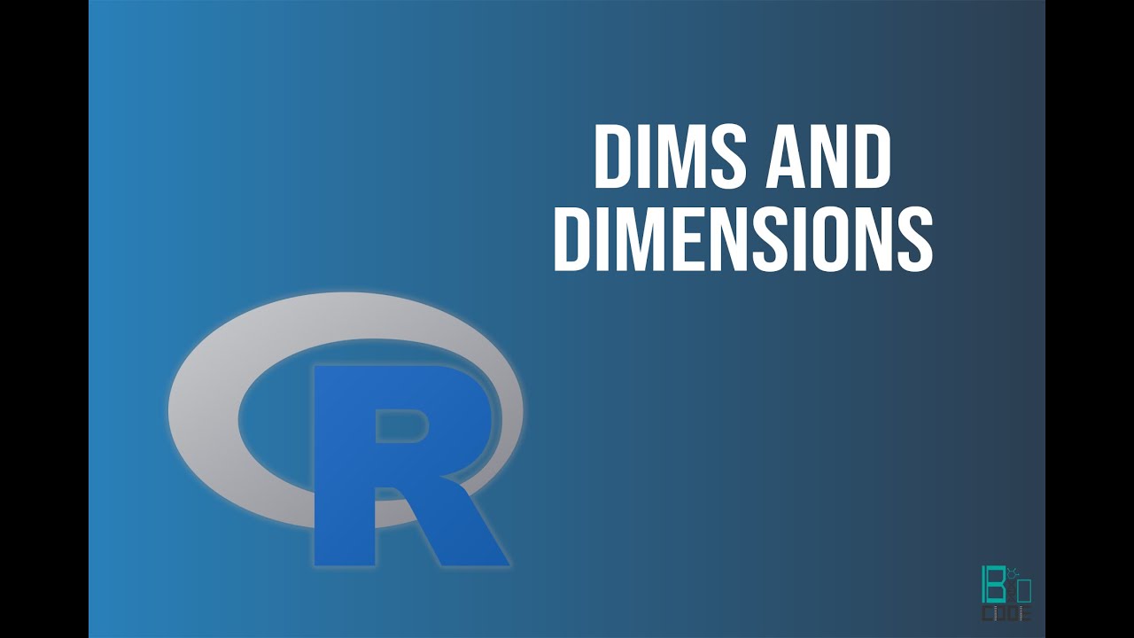 Bioinformatics: Dims and Dimensions | Python | BioCode Ltd