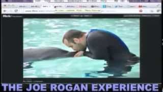 Joe Rogan ~ Animals In Captivity