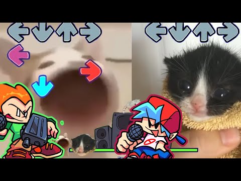 FNF Pico BUT its POP CAT VS Towel Kitten! Friday Night Funkin' Week 3 Hard