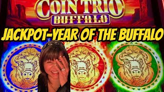 JACKPOT! PERSISTENCE PAID OFF-COIN TRIO BUFFALO