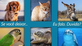 TODOS POR ELES, uma rede de amor aos animais!
Se você deixar eu falo, duvida?