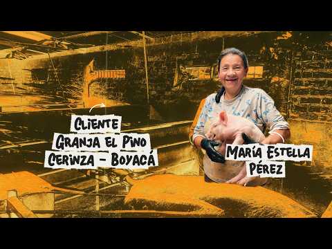El progreso de una mujer emprendedora en la cría de cerdos | Cerinza, Boyacá
