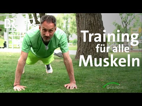 Trendsport Calisthenics: Fitnesstraining mit dem eigenen Körpergewicht | BR