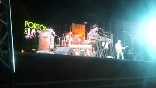 Lucky Peterson & The LP Blues Band  (1)