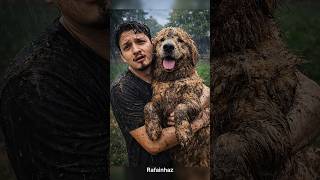 Quem tem cachorro sabe como é 😂