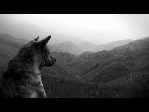 The Joy Formidable - Wolf's Law [Official Video]