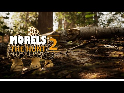 Mushrooms Picking Sim / Morels The Hunt 2 PS5 Pro: Gameplay - YouTube