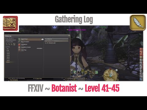 FFXIV Botanist Gathering Log Level 41-45 - A Realm Reborn