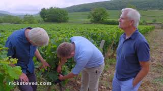 Burgundy Wine, Vineyard, and Château