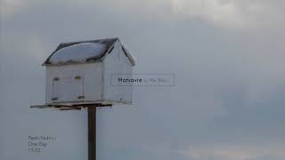 Paolo Nutini / One Day