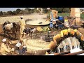 Unseen Beautiful Village Life In Pakistan Beautiful Old Culture Of Punjab
