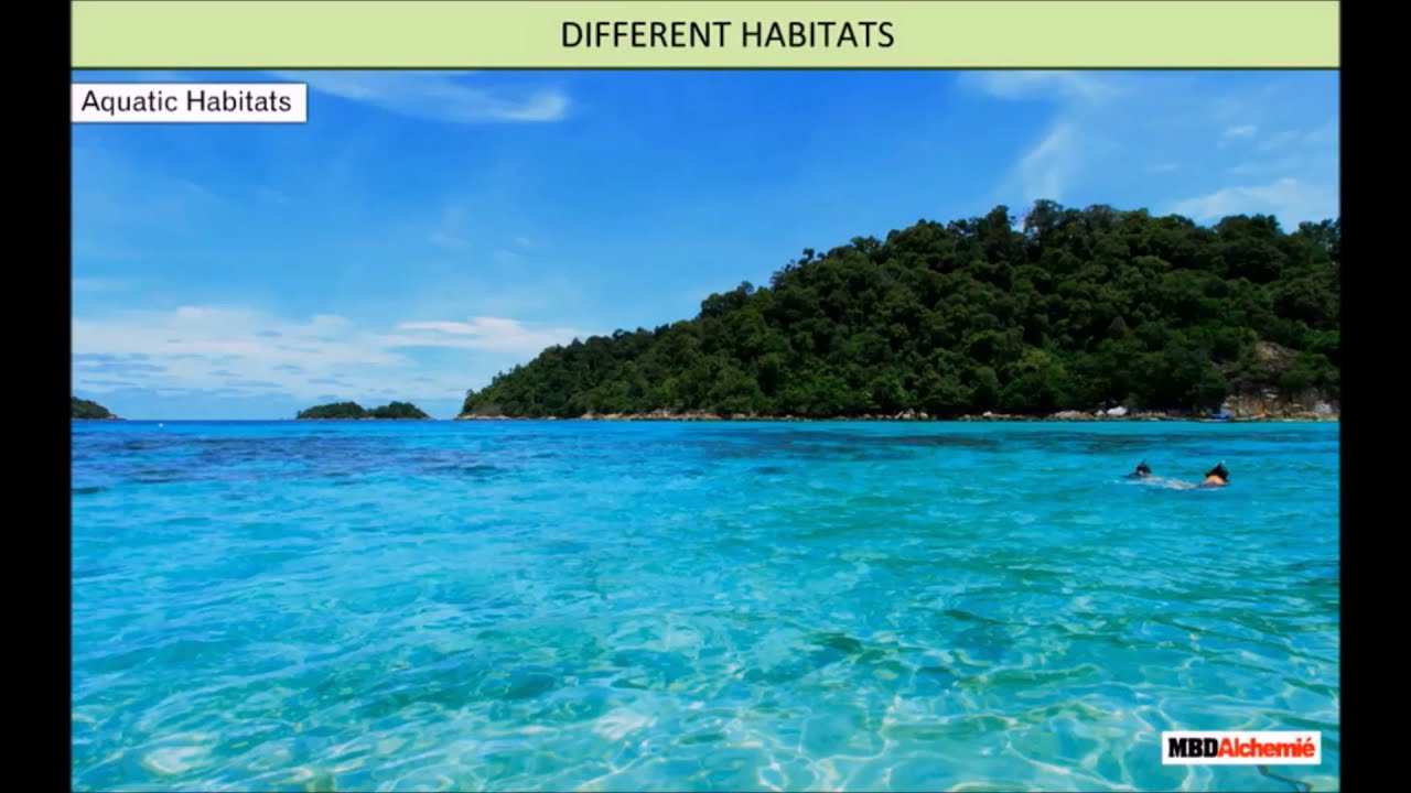 Living Organisms and Their Surroundings Class 6