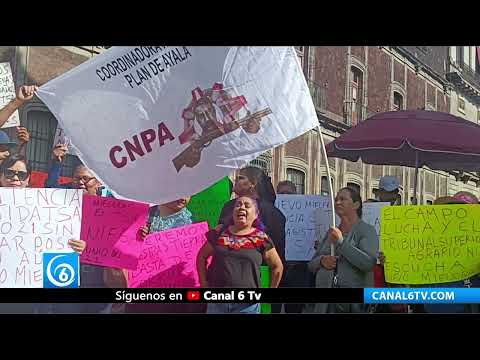 Video: Campesinos obtienen audiencia en Palacio Nacional para revisar problemas agrarios