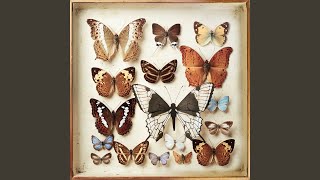 Unemployed In Summertime (Batucada Mix)