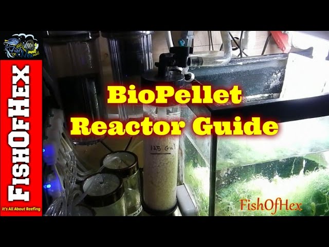 YouTube video preview