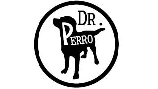 Dr. Perro - Oscura Realidad