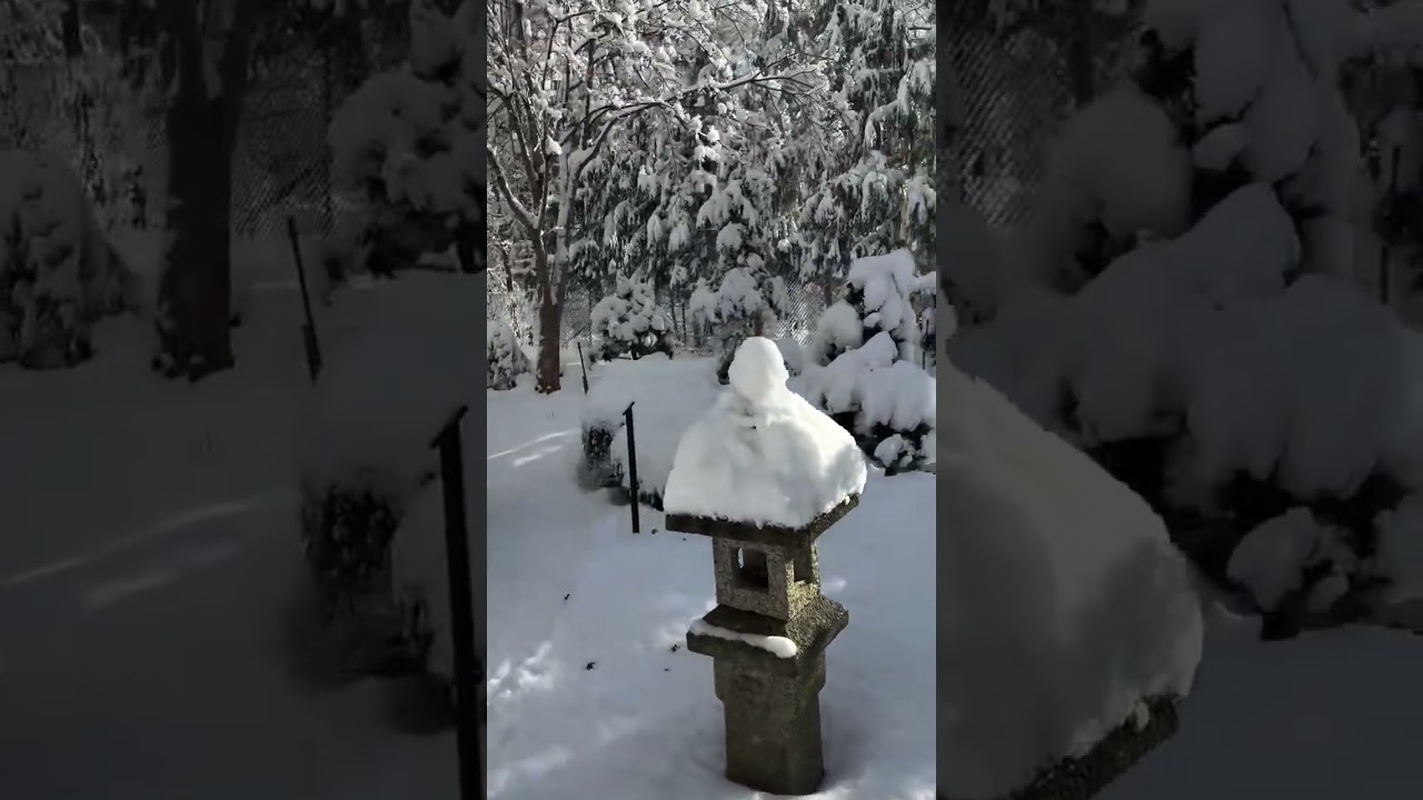 Garden Tour After the Winter Storm