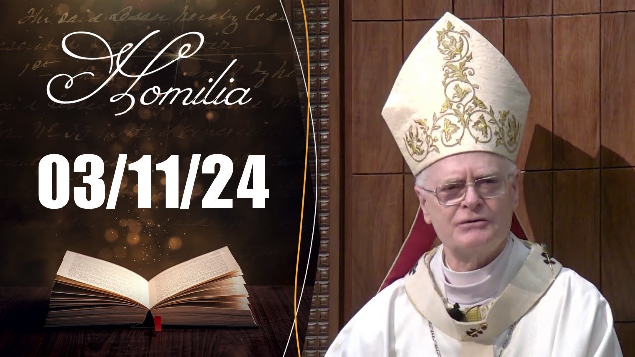 Homilia Diária | 03/11/24 | Dom Odilo Pedro Scherer