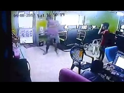 Serpente “volante” attacca il cliente del negozio e scatta il panico