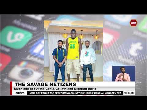 Savage Netizens I Much ado about the Gen Z Goliath and Nigerian David